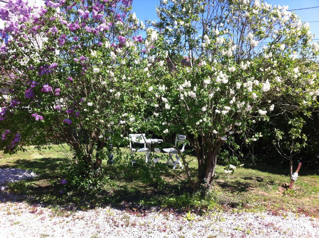 Les Lilas Roses Chamouilley Exterior foto